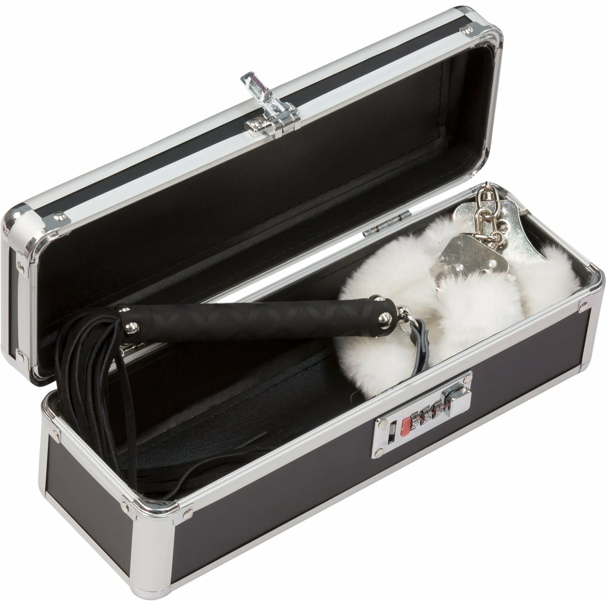 PowerBullet - Medium Lockable Vibrator Case - Black