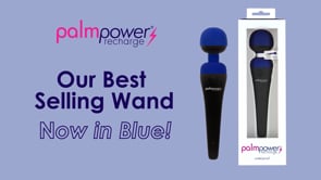 PalmPower - Baguette de massage rechargeable - Bleu