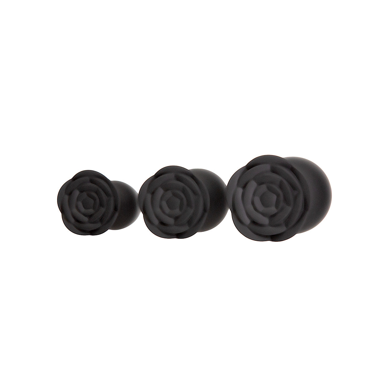 Roses Til' Dawn - Kit de plugs anaux en silicone - Kit de démarrage - Noir