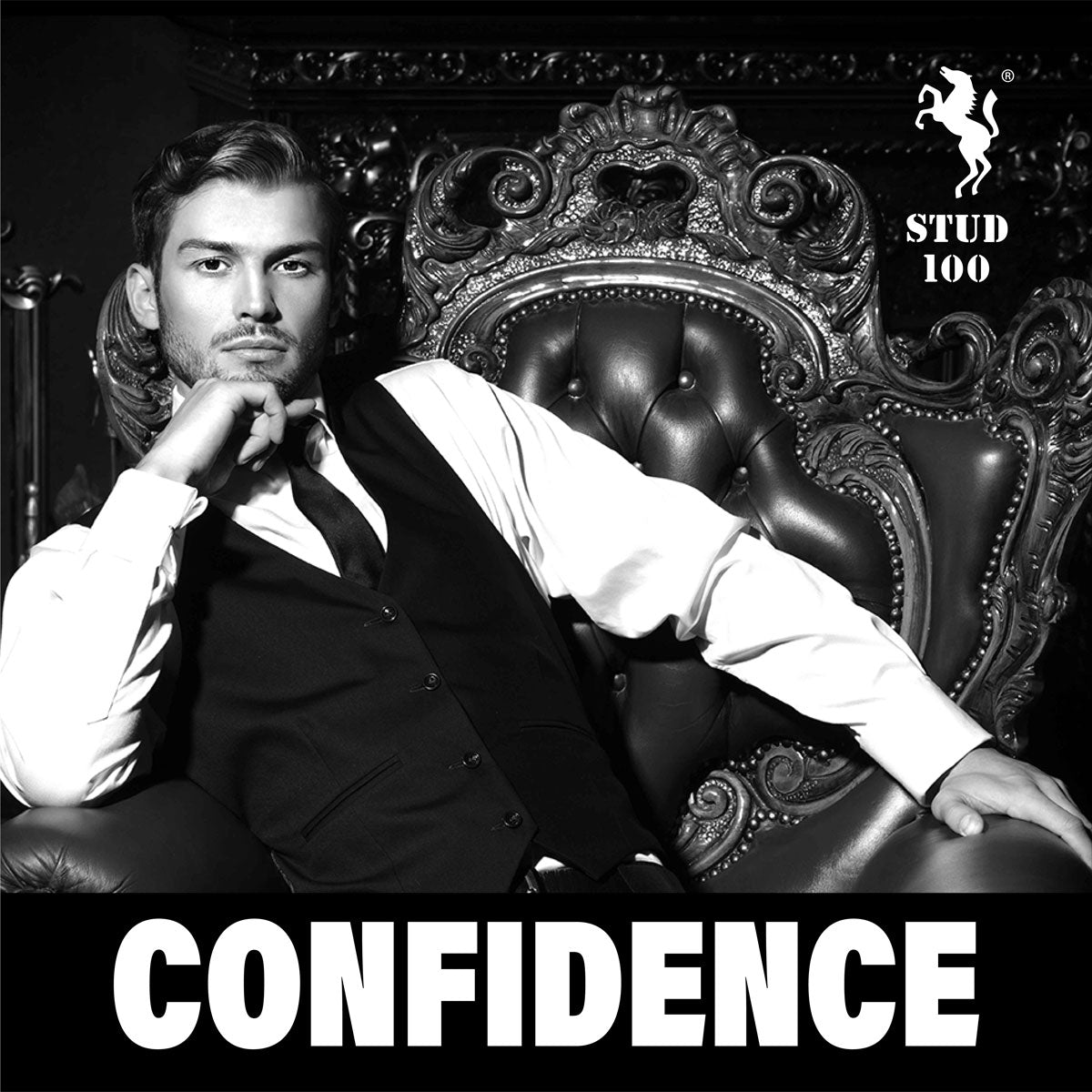 Stud 100 - Delay Spray For Men - 12g