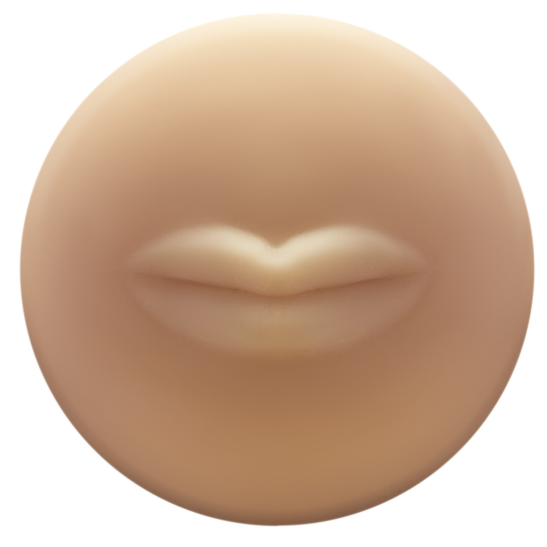 Autoblow 2+ avec embout buccal taille A