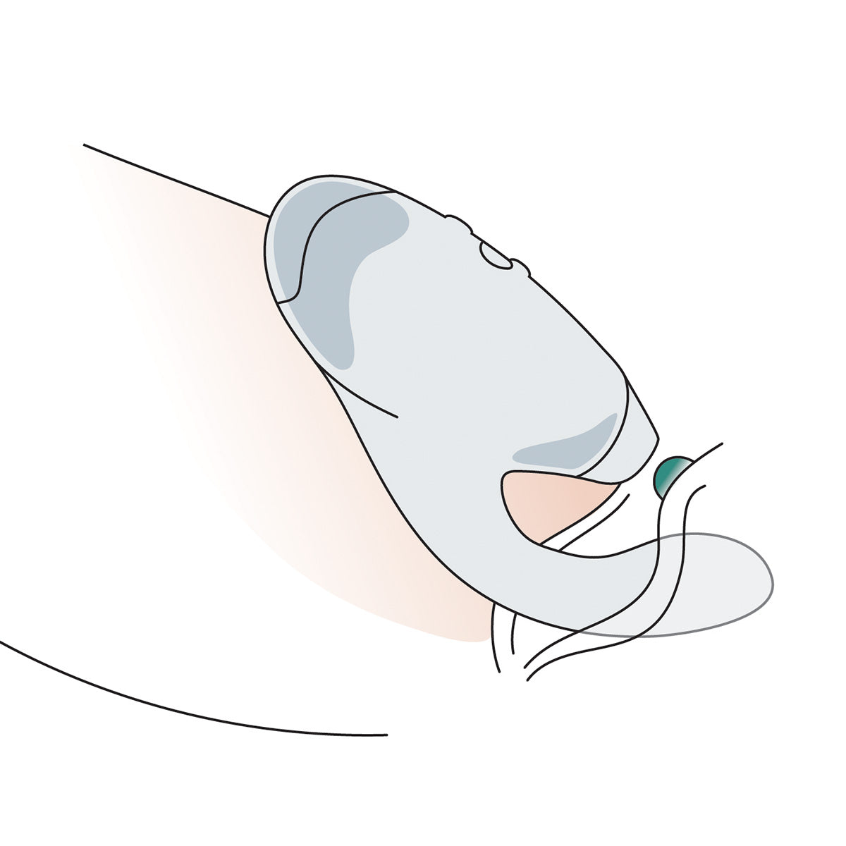 Womanizer - DUO 2 - Dual Stimulator - Petrol