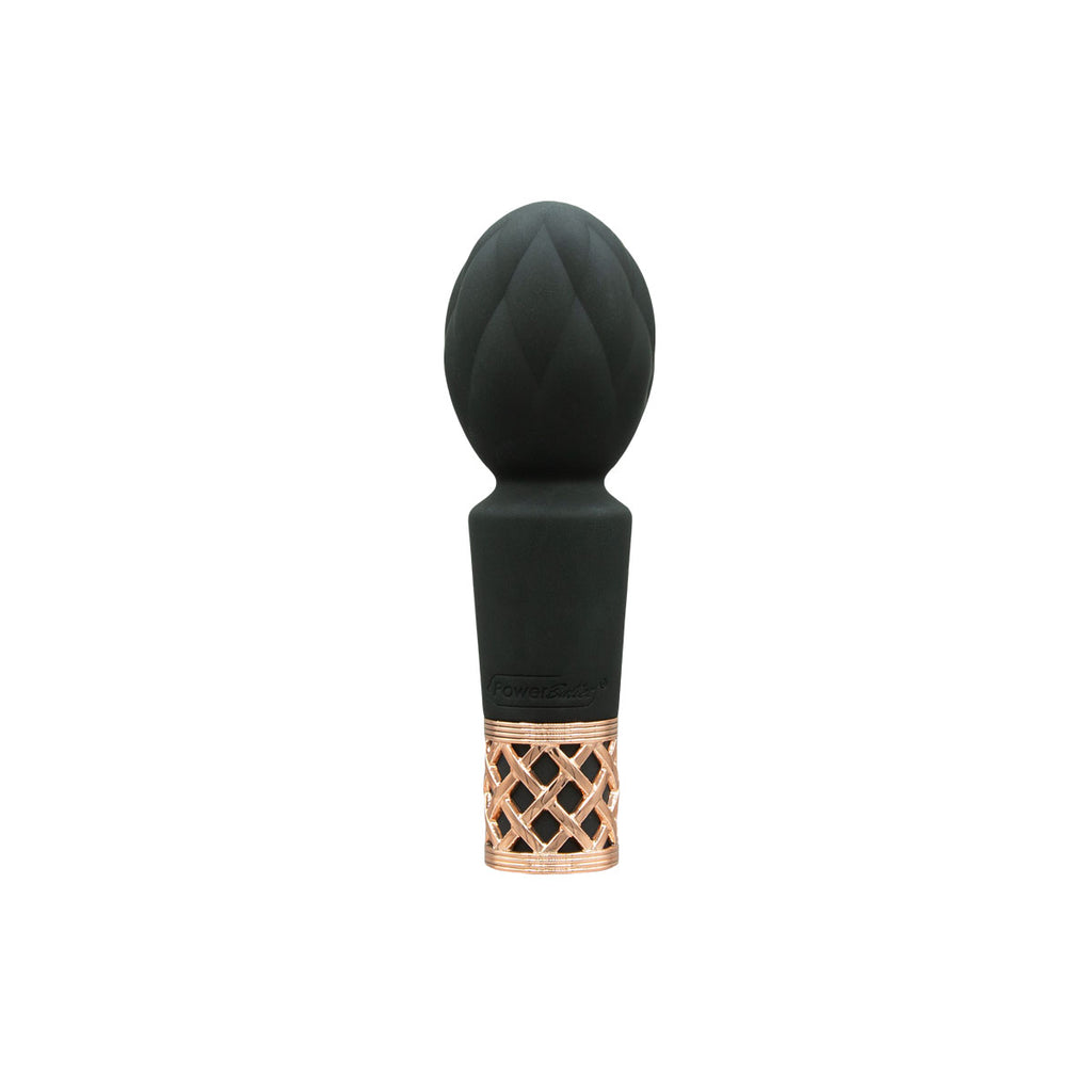 Pillow Talk Secrets - Plaisir - Vibromasseur Clitoridien Baguette - Noir