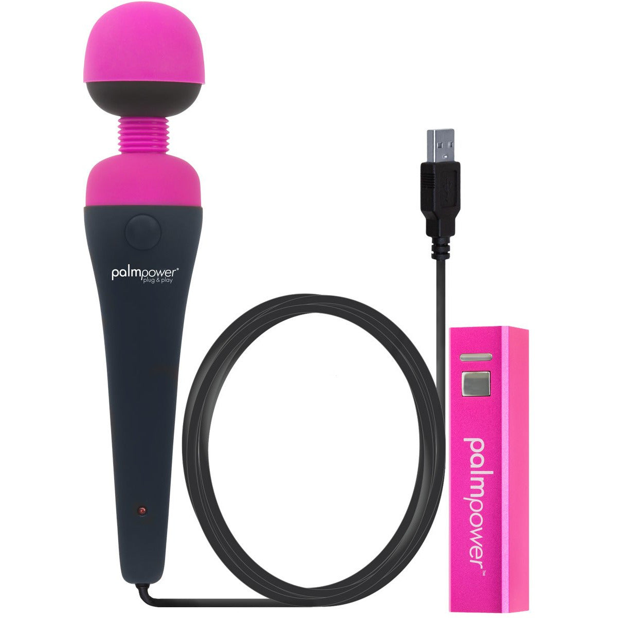 palmpower - Plug & Play Massage Wand (DC Power)