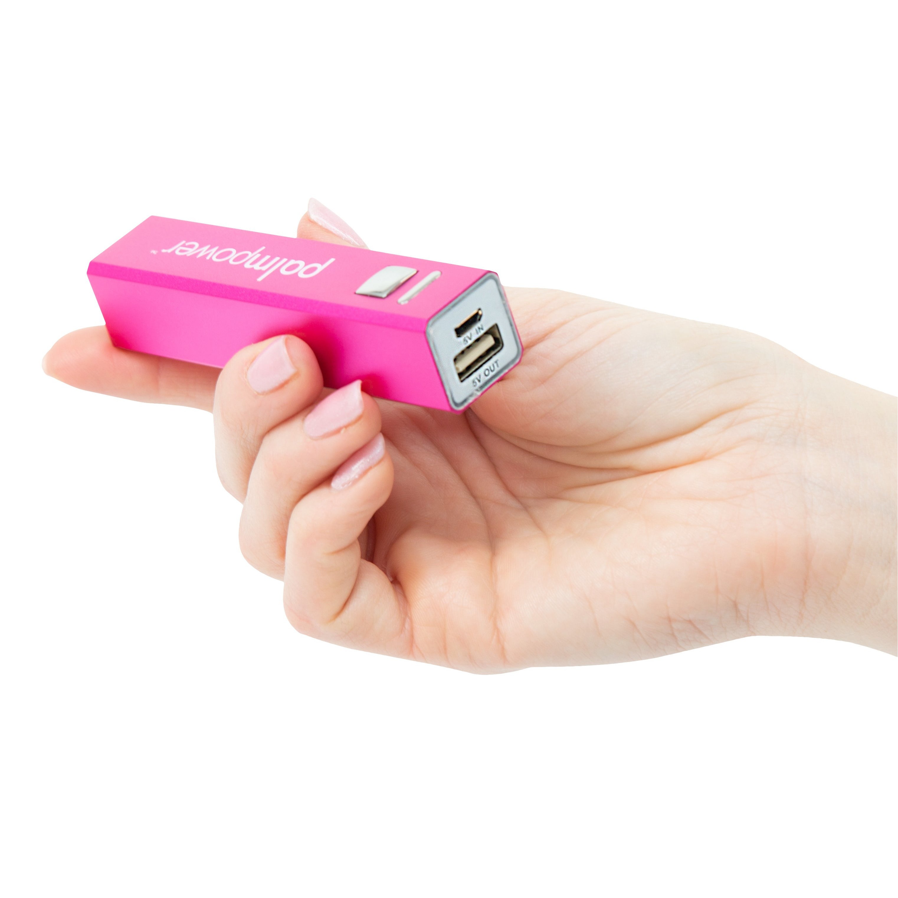 PalmPower - Plug & Play Massage Wand (DC Power)