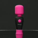 PalmPower - Pocket - Mini-masseur rechargeable