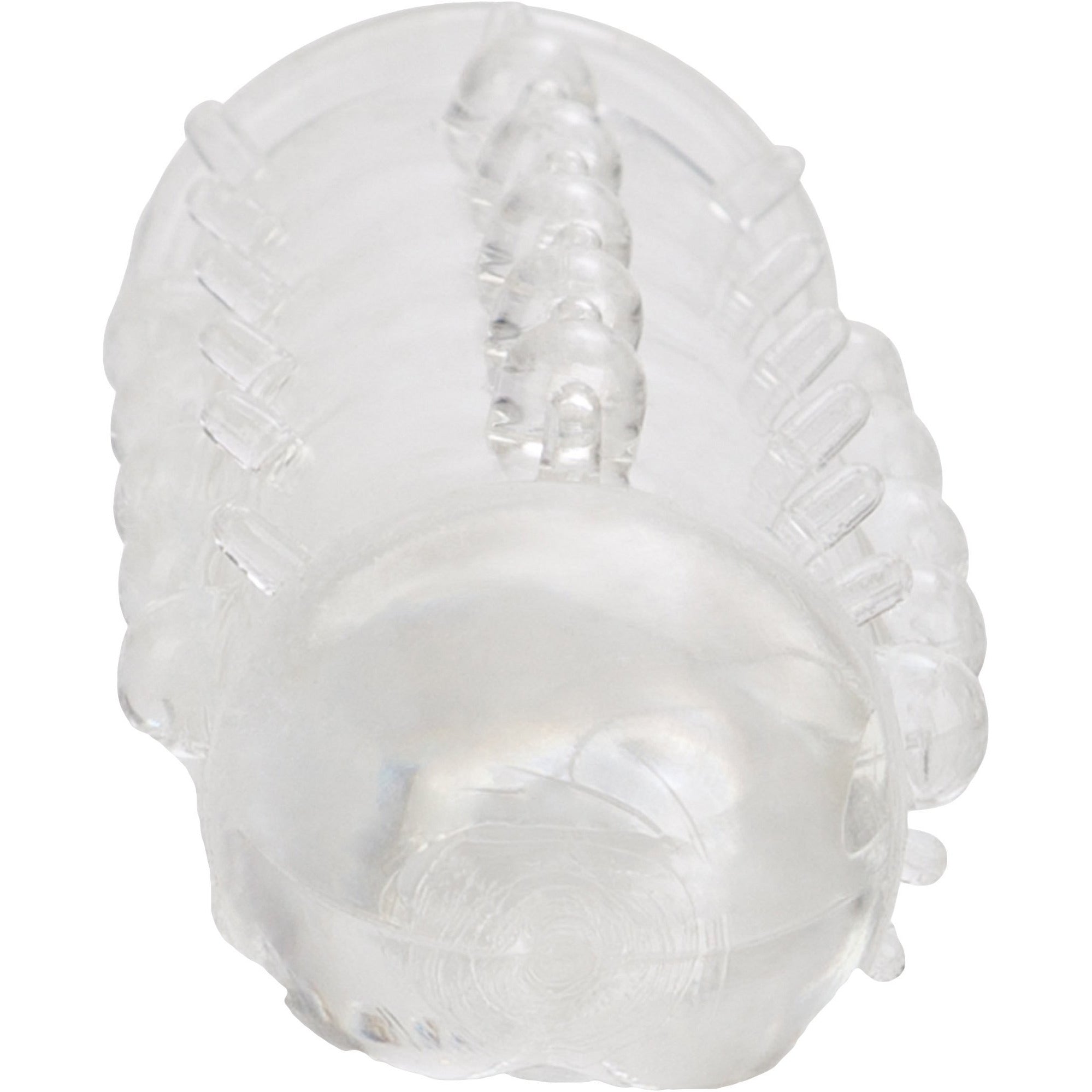 CALEXOTICS® - STUD EXTENDER with Support Ring - 1" / 2.5 cm - Clear