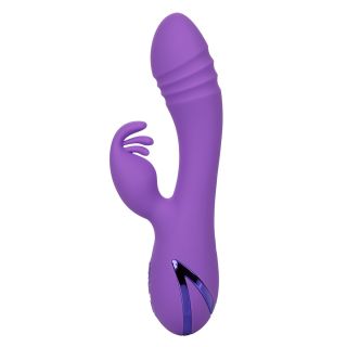 CalExotics – California Dreaming – West Coast Wave Rider Dual Vibrator – Purple 