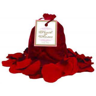 Trail of Roses - Rose Petals