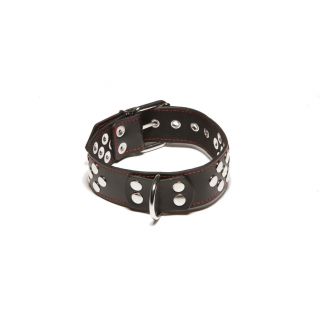 X-Play by Allure Collar with D-Ring - Black